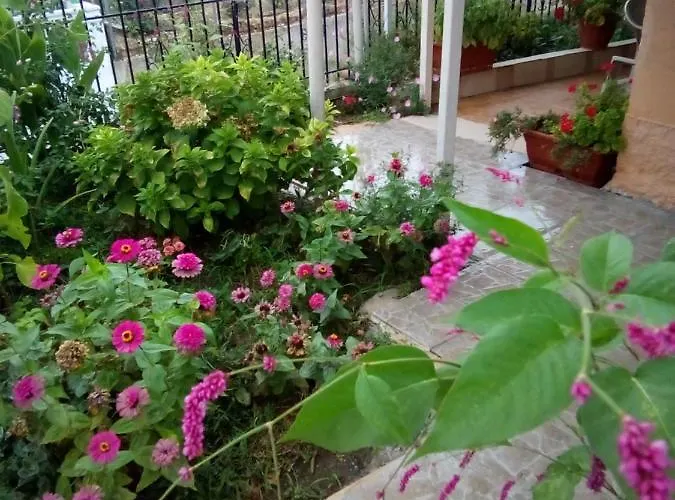 Villa Angela, Traditional Villa In The Village